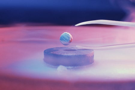 A magnet levitates atop a superconductor.