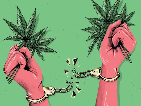 Handcuffed hands holding marijuana leaves.