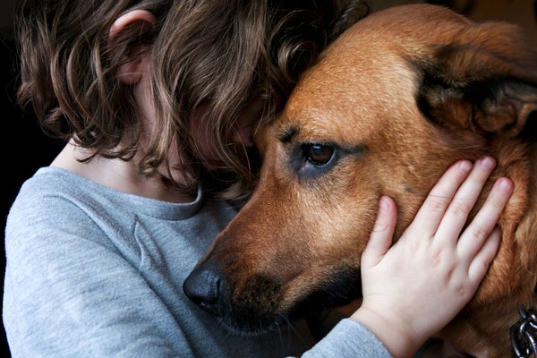 A little girl hugging her dog with their heads pressed together