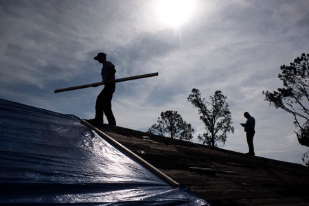 Silhouette of 2 workers on roof with shadows of trees.