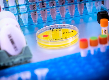 Yellow petri dish with text and vials,