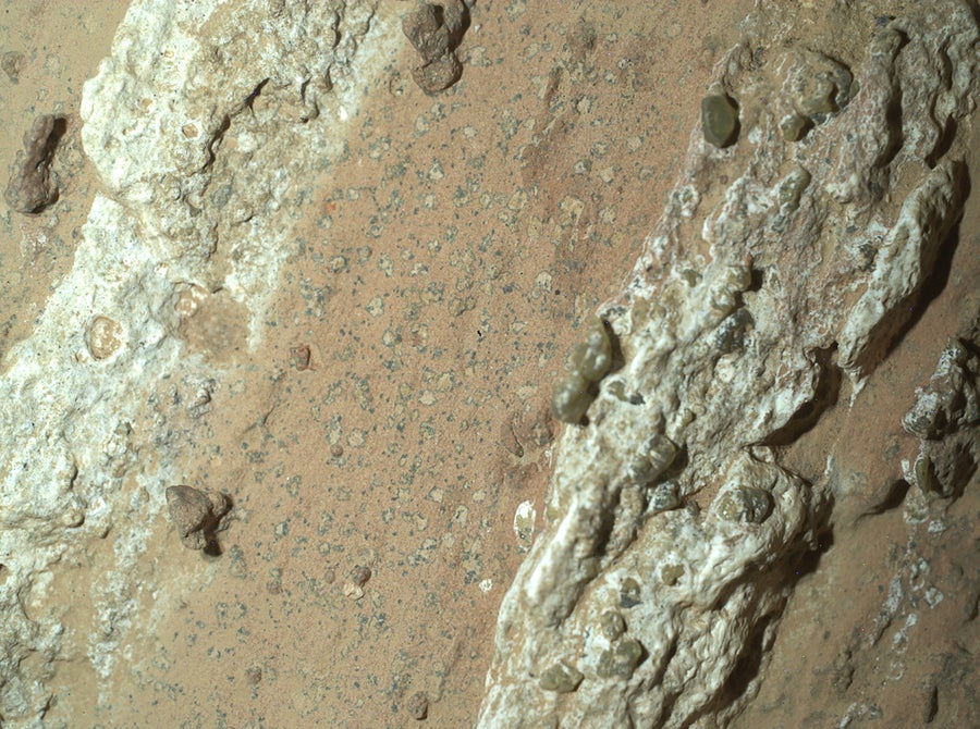 An image of “Cheyava Falls,” a rock discovered on Mars with curious mineral deposits that may be signs of ancient alien life.